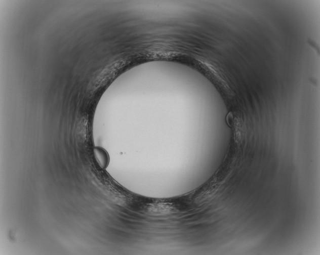 X0000102760451200809021011