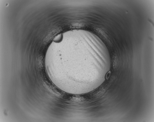 X0000102760455200809021011