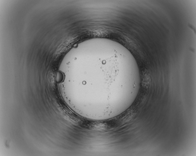 X0000102760456200809021011