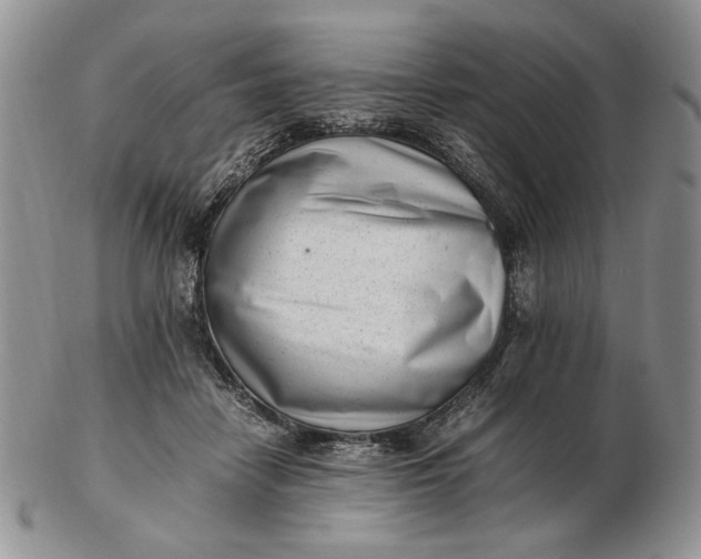 X0000102760458200809021011