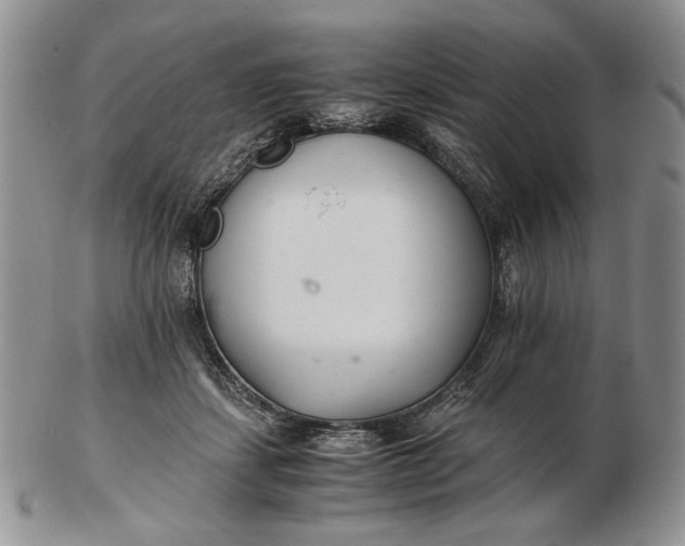 X0000102760459200809021011