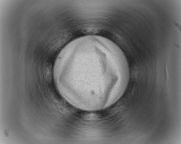 X0000102760460200809021011