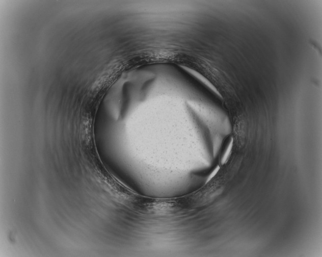 X0000102760462200809021011