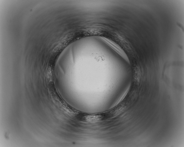 X0000102760465200809021011