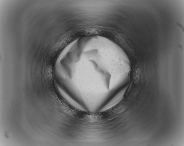 X0000102760466200809021011