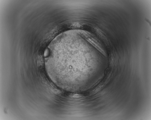 X0000102760467200809021011