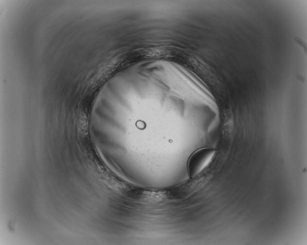 X0000102760469200809021011