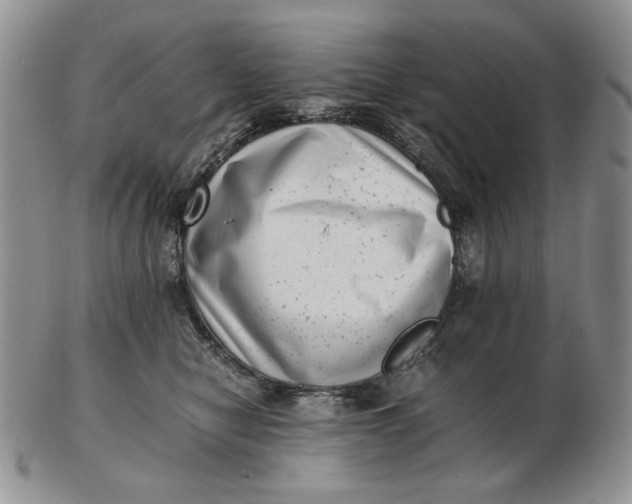 X0000102760470200809021011