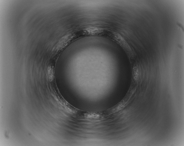 X0000102760471200809021011