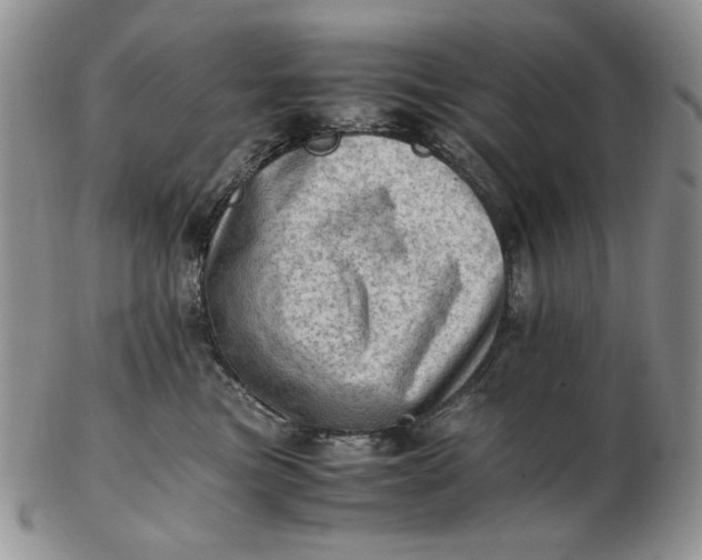 X0000102760473200809021011