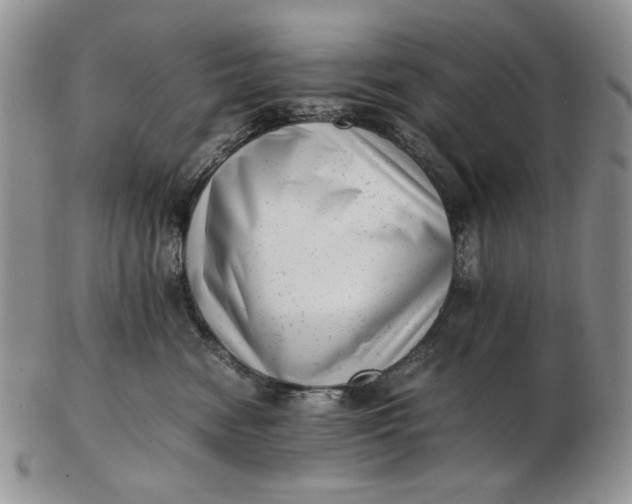 X0000102760474200809021011