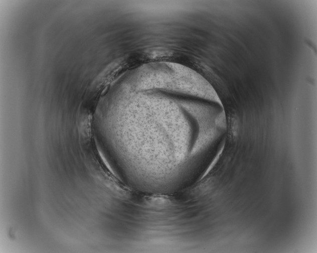 X0000102760475200809021011