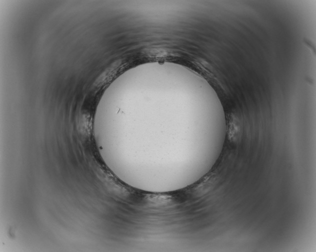 X0000102760476200809021011