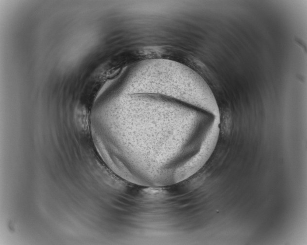 X0000102760477200809021011