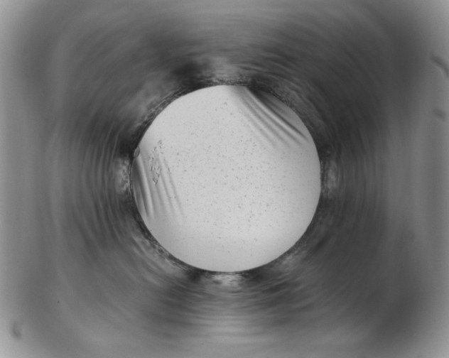 X0000102760478200809021011