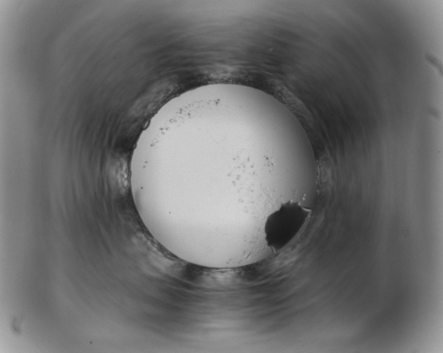 X0000102760479200809021011