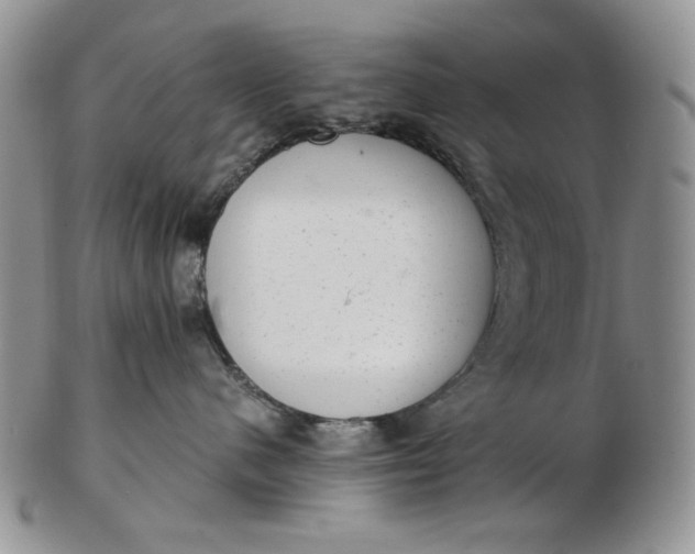 X0000102760480200809021011