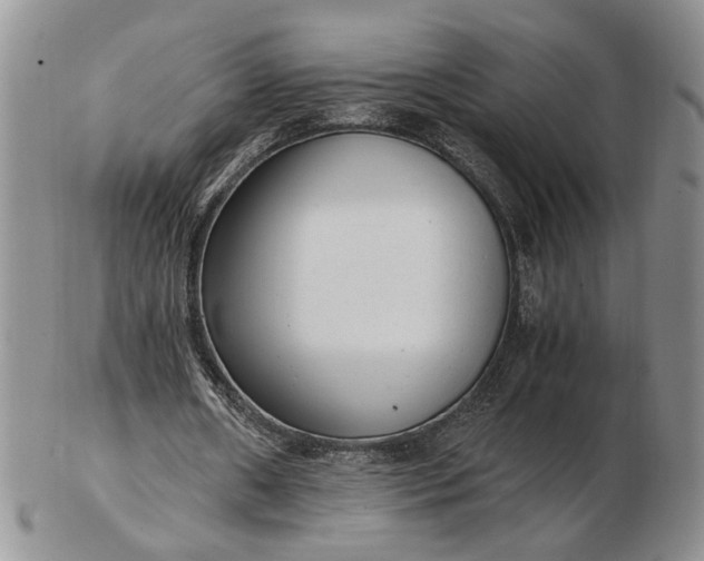 X0000102760482200809021010