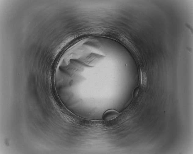 X0000102760483200809021010