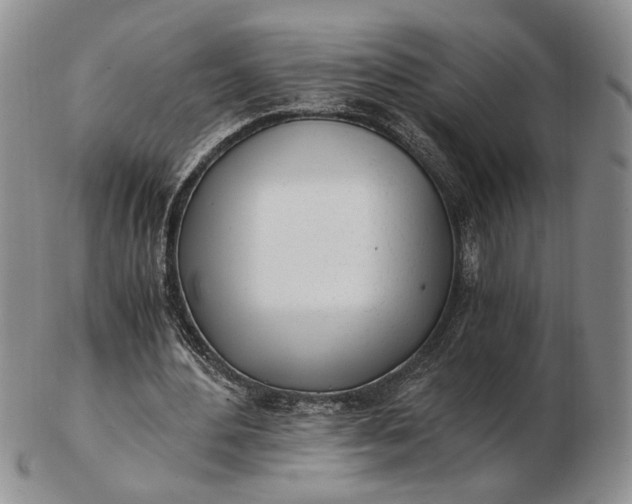 X0000102760484200809021010