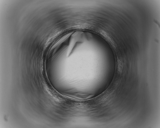 X0000102760486200809021010