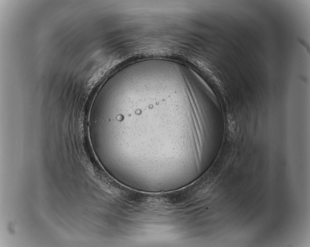 X0000102760487200809021010