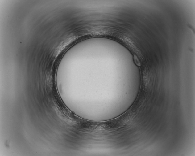 X0000102760488200809021010