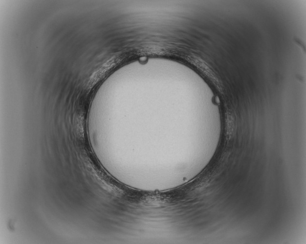 X0000102760489200809021010