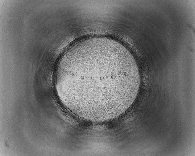 X0000102760491200809021010