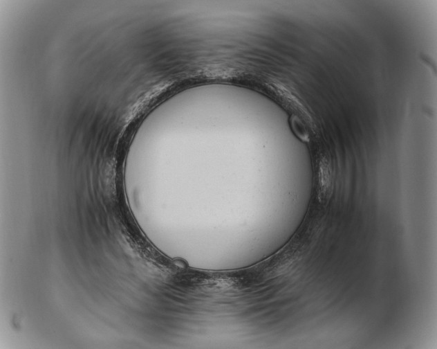 X0000102760492200809021010