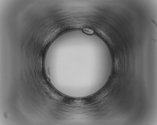 X0000102760493200809021010