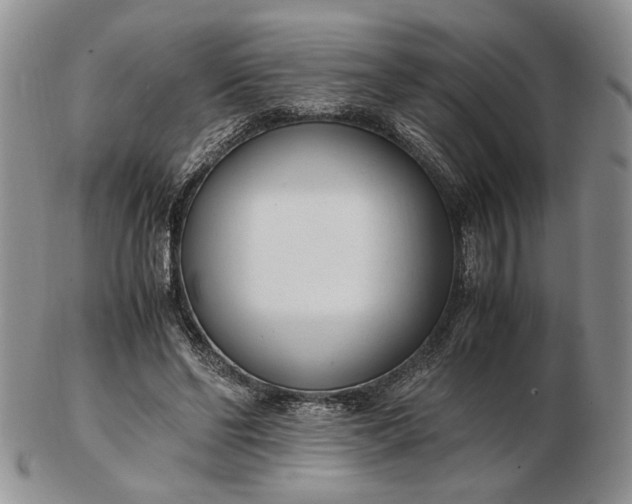 X0000102760494200809021010