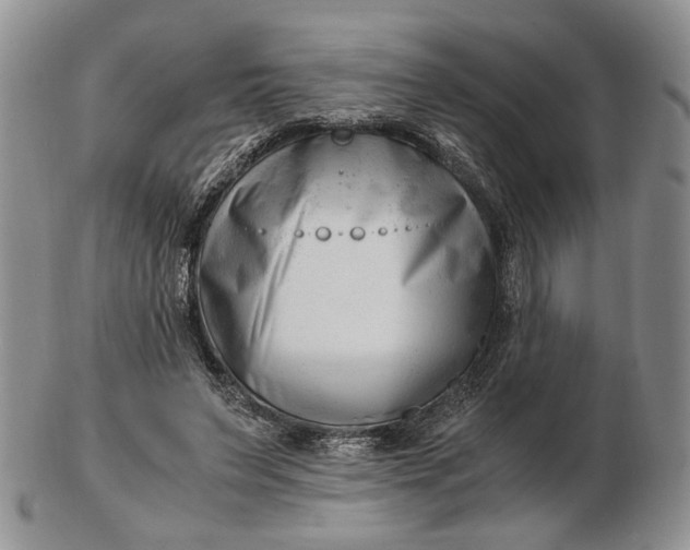 X0000102760495200809021010