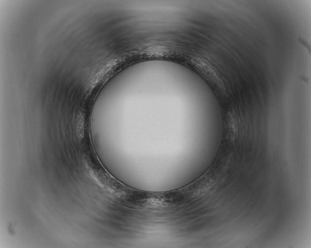 X0000102760496200809021010