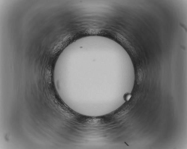 X0000102760497200809021010