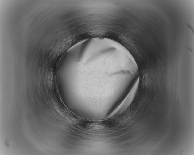 X0000102760498200809021010