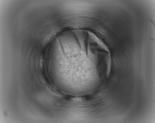 X0000102760499200809021010