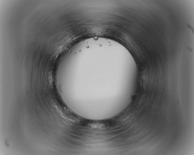 X0000102760500200809021010