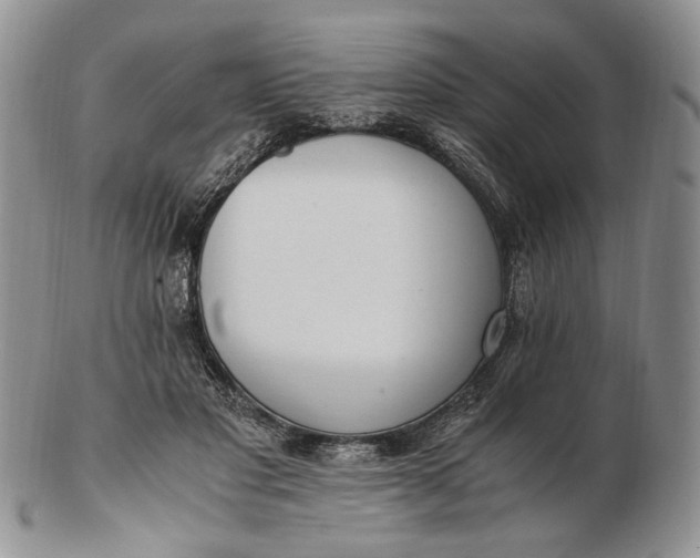 X0000102760501200809021010