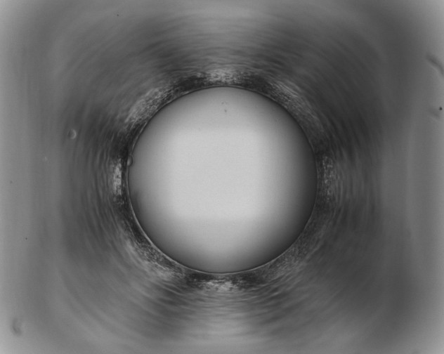 X0000102760502200809021010