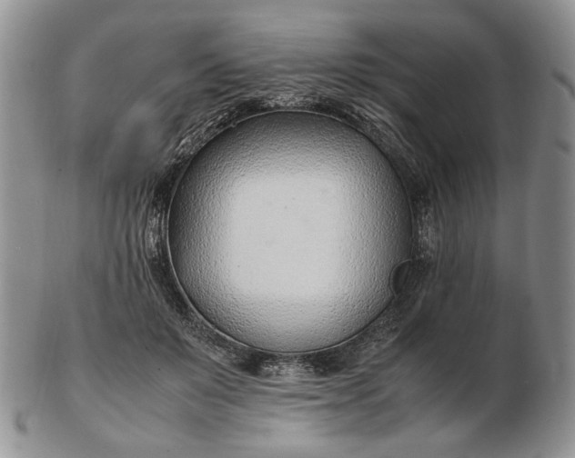 X0000102760503200809021010