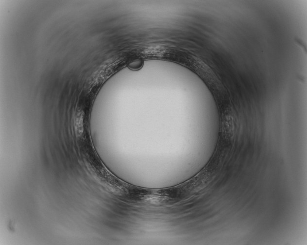 X0000102760504200809021010