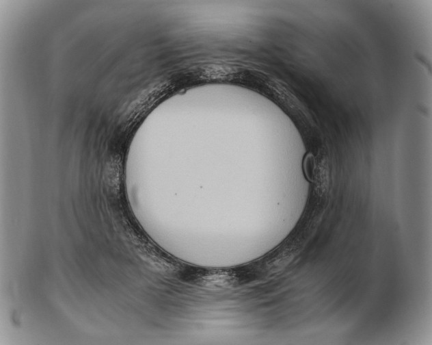 X0000102760505200809021010