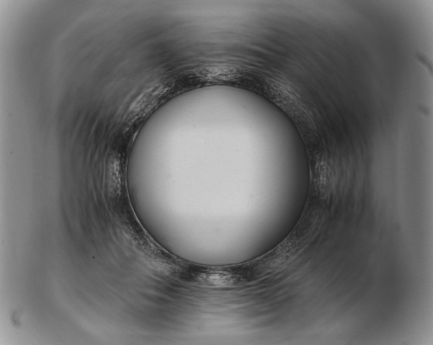 X0000102760506200809021010