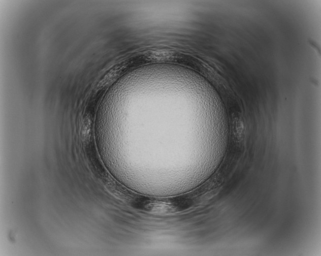 X0000102760507200809021010