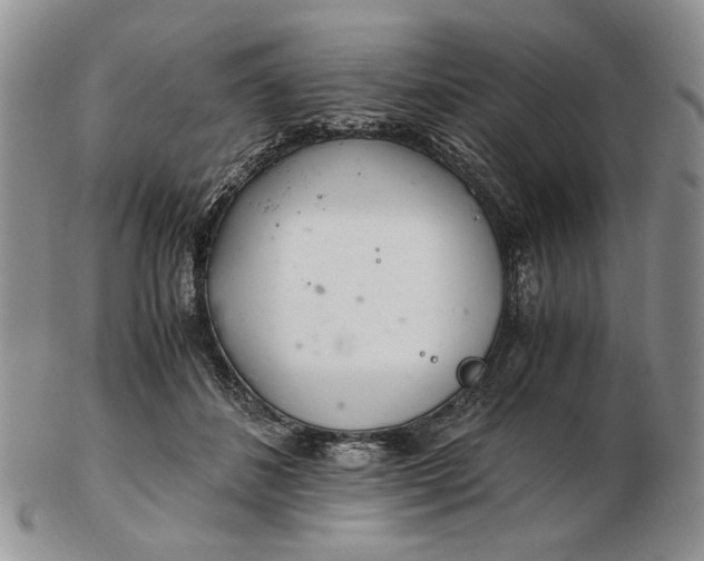 X0000102760508200809021010