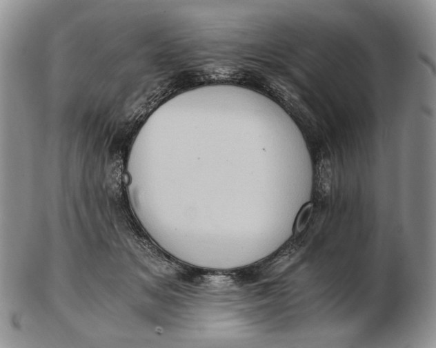 X0000102760509200809021010