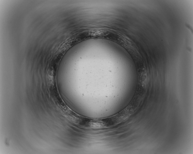 X0000102760510200809021010