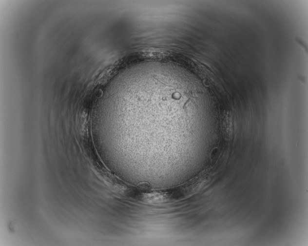 X0000102760511200809021010