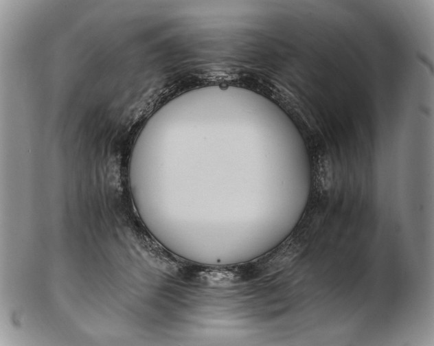 X0000102760512200809021010